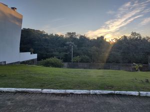 Image 8 - 208385