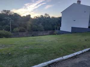 Image 10 - 208385