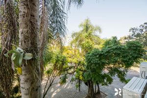 Image 4 - 208466