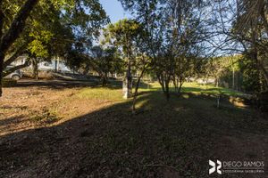 Image 34 - 208599