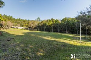 Image 36 - 208599