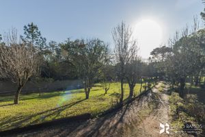 Image 37 - 208599