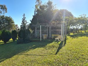 Image 33 - 208933