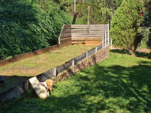 Image 38 - 208933