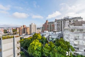 Image 16 - 209155