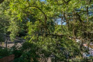 Image 48 - 209183