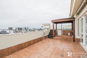 Image 7 - 209334
