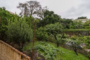 Image 14 - 209514