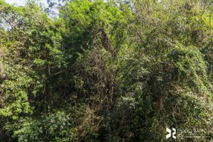Image 9 - 209938