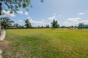 Image 9 - 209967