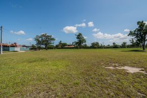 Image 12 - 209967