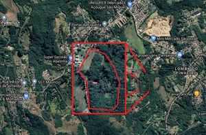 Image 45 - 210012