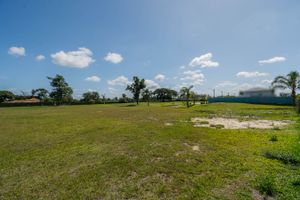 Image 13 - 210142