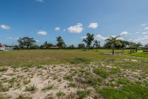 Image 17 - 210142