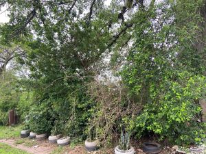 Image 1 - 210318