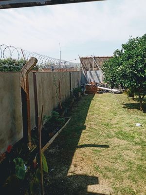Image 31 - 210333