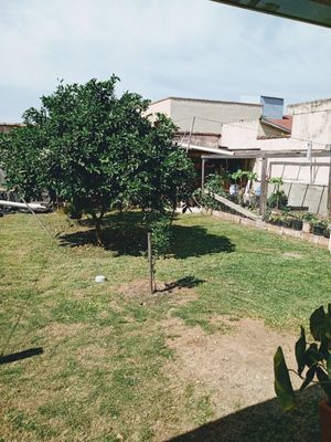 Image 30 - 210333