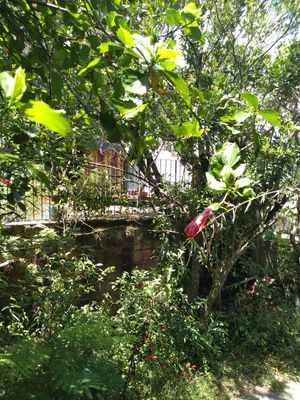 Image 29 - 213266