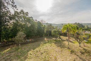 Image 28 - 213636