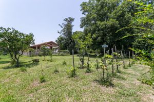 Image 36 - 213646