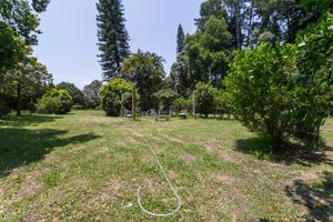 Image 37 - 213646