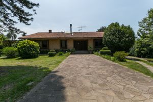 Image 43 - 213646