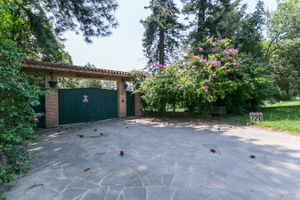 Image 44 - 213646