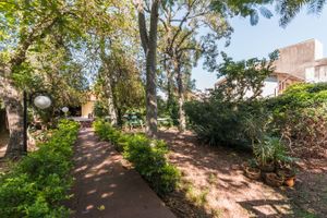 Image 35 - 214904