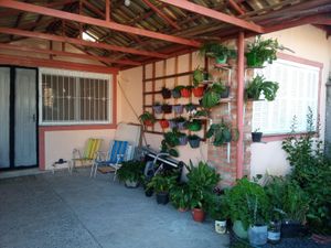 Image 31 - 215031