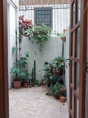 Image 5 - 215183