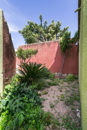 Image 25 - 215485