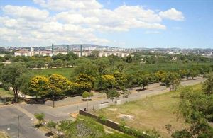 Image 10 - 215588
