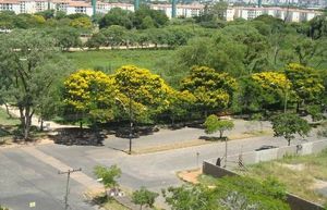 Image 5 - 215588