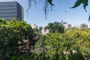 Image 9 - 215779
