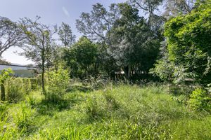 Image 18 - 215839