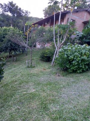 Image 27 - 215871