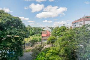 Image 10 - 215941