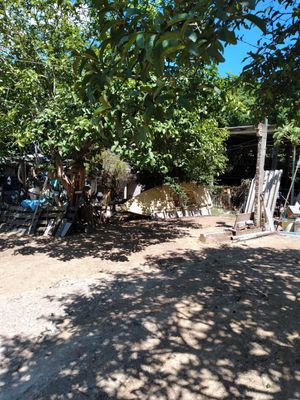 Image 4 - 215949