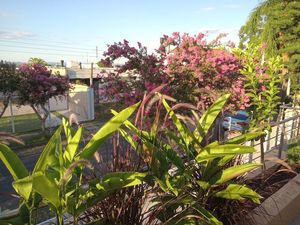 Image 3 - 215953