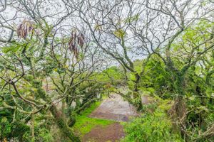 Image 35 - 216171