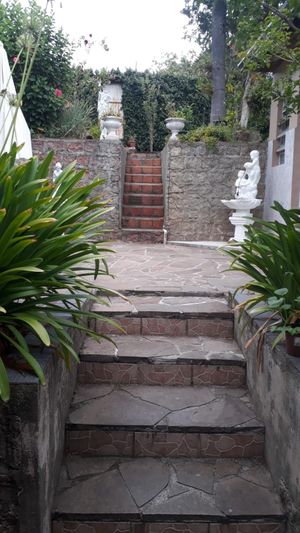 Image 10 - 216246