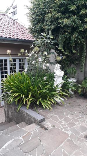 Image 13 - 216246