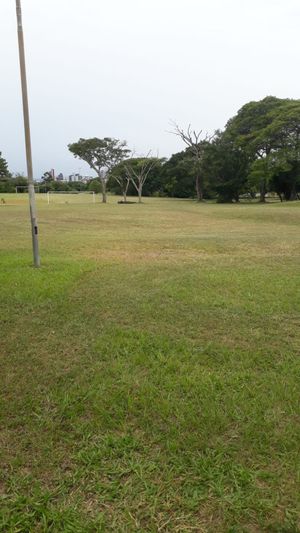 Image 17 - 216246