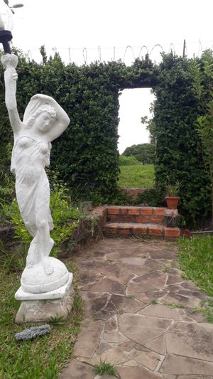 Image 15 - 216246