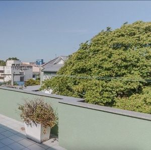 Image 5 - 216386