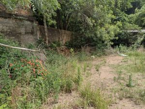 Image 6 - 216407
