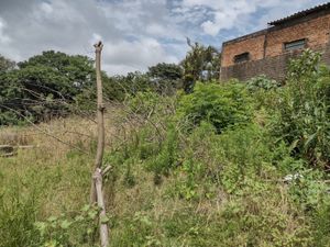 Image 5 - 216407