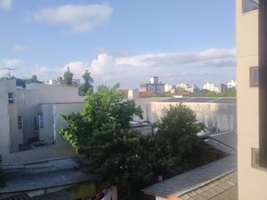 Image 33 - 216442
