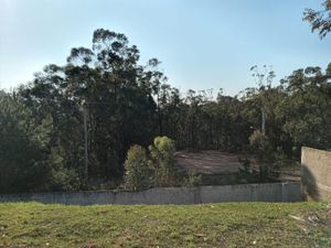 Image 1 - 216538
