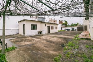 Image 43 - 216545